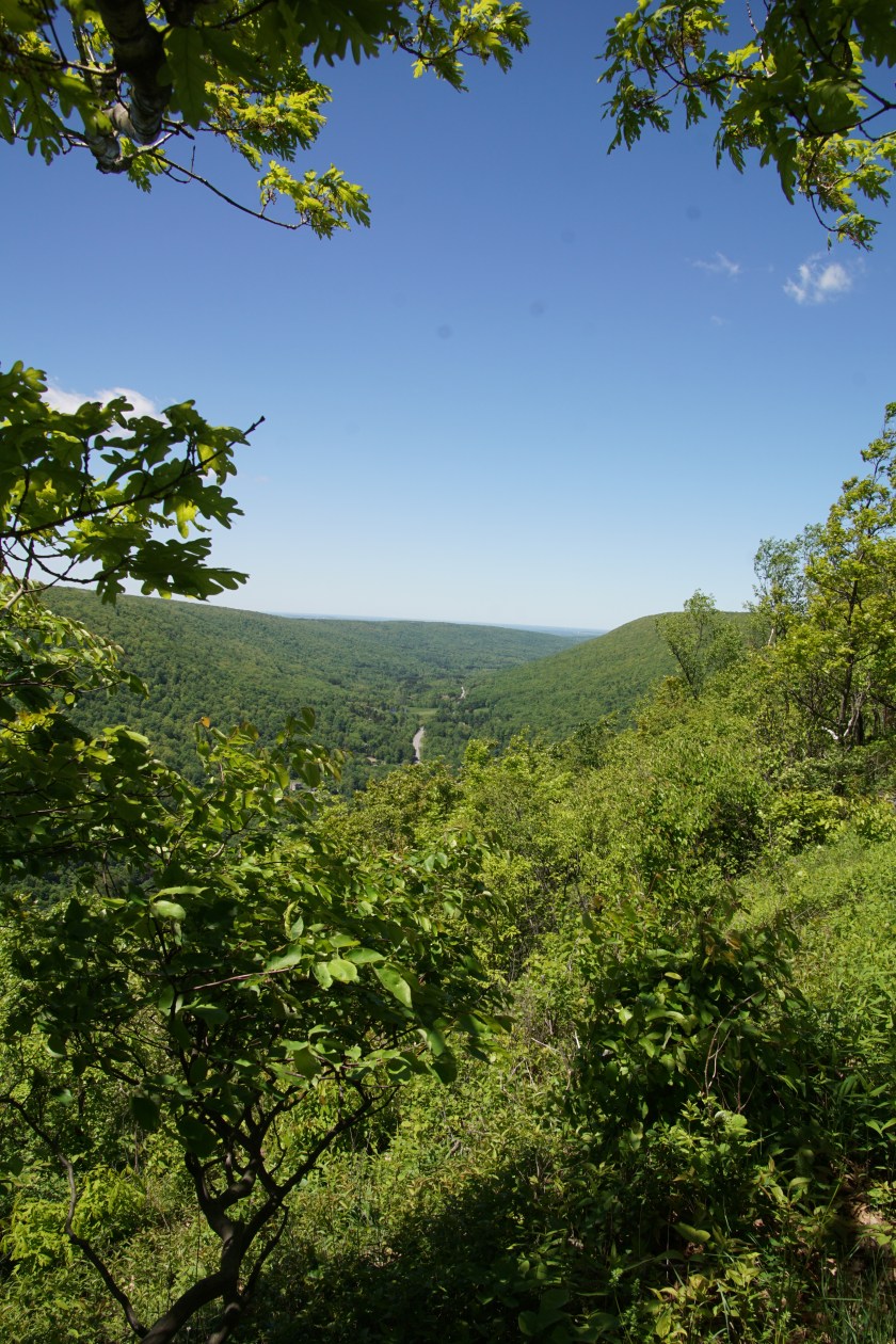 DSC04844